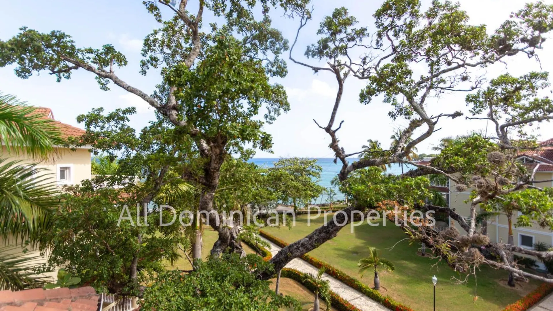 Hispaniola Beach Official, Sosua! Sosua